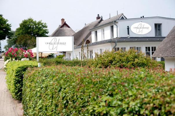 Der Charlottenhof Ahrenshoop Buitenkant foto